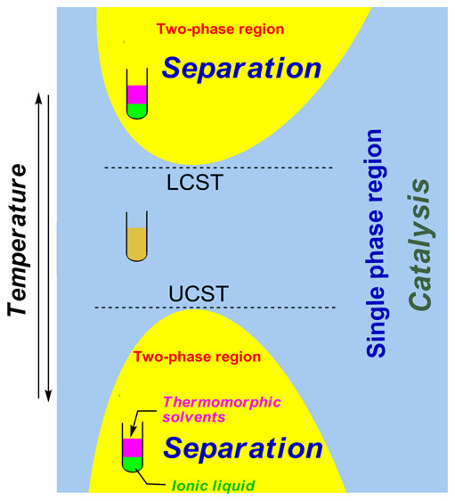 Ionic Liquids 1